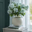 Hellebore Plant In Taupe Pot-11933141-11933139