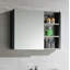 Donatello 31.5'' W Mirrored Medicine Cabinet-1091861586