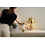 HOPKINTON Rechargeable Table Lamp-213385244-213385234