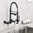DORNBERG Kitchen Faucet-97981573