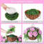 Arrangement en panier-1586801414