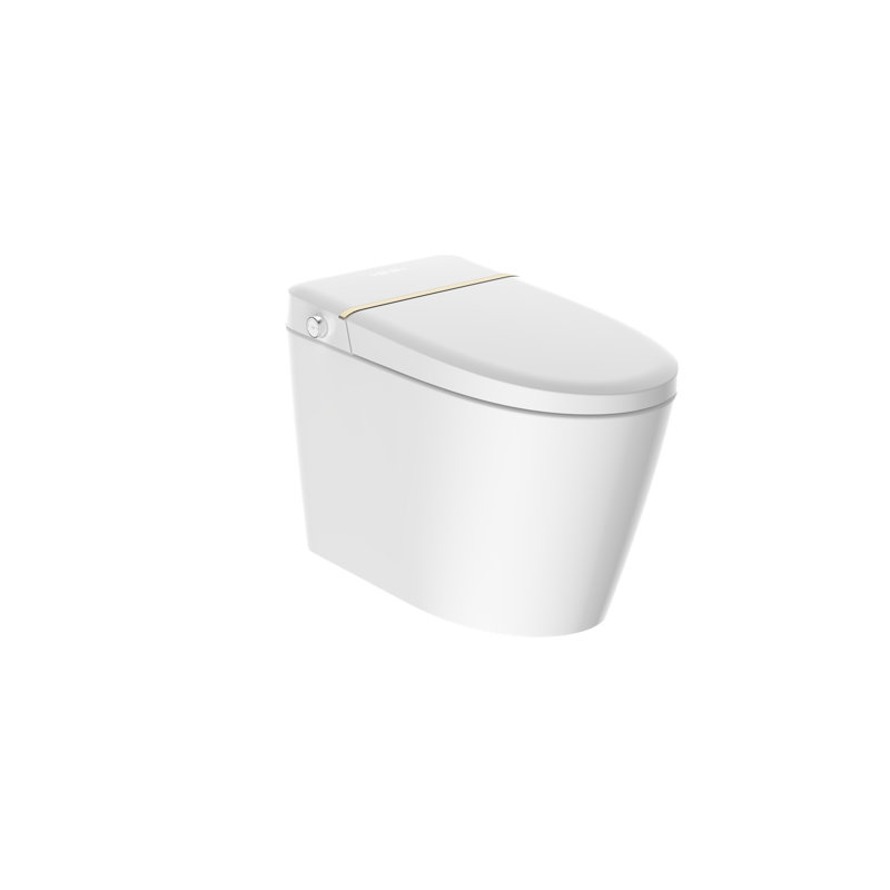 Toilette intelligente avec pulvérisateur d'eau chaude et sécheuse, capteur de pied, siège de bidet chauffant, toilette sans réservoir avec affichage DEL