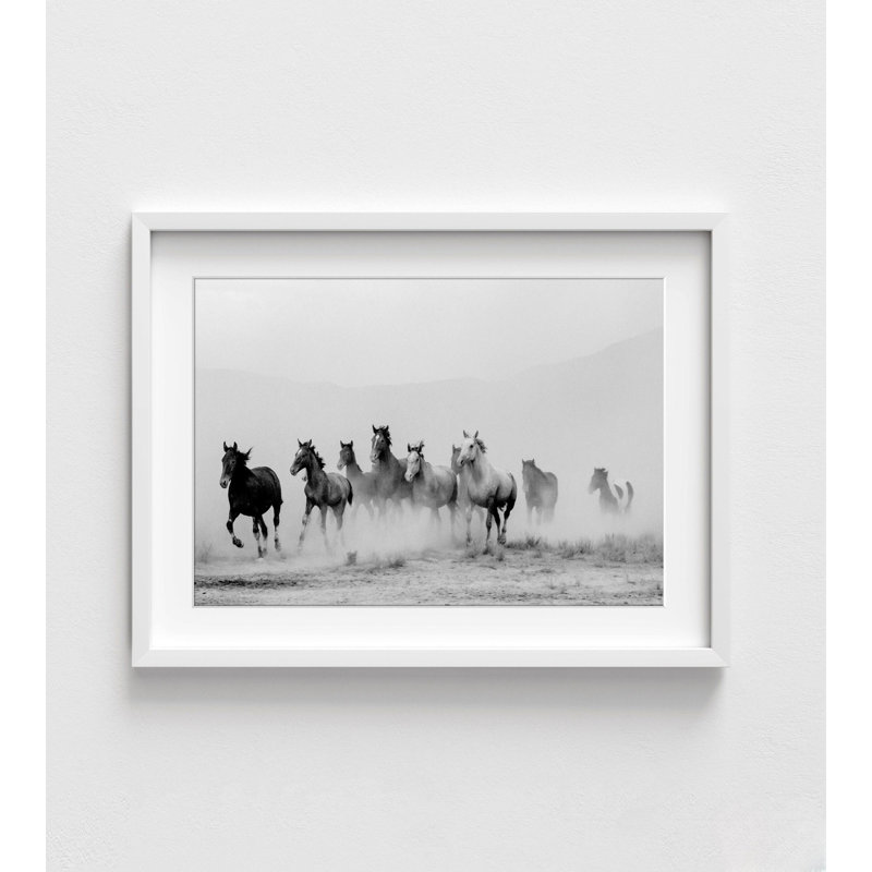 Chevaux sauvages en course | Noir et blanc 30 po x 40 po, Cadre blanc, Blanc, H 24 po x l 32 po