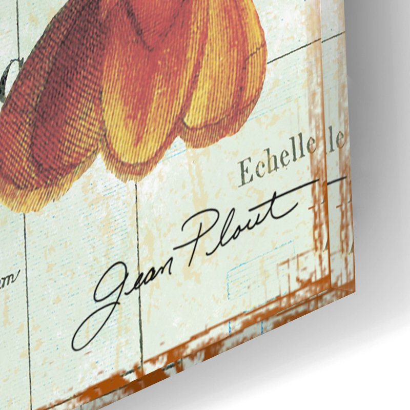 «Nautical Journey-a-lobster» par Jean Plout, art mural en verre acrylique, H 16 po x l 12 po x P 0,13 po