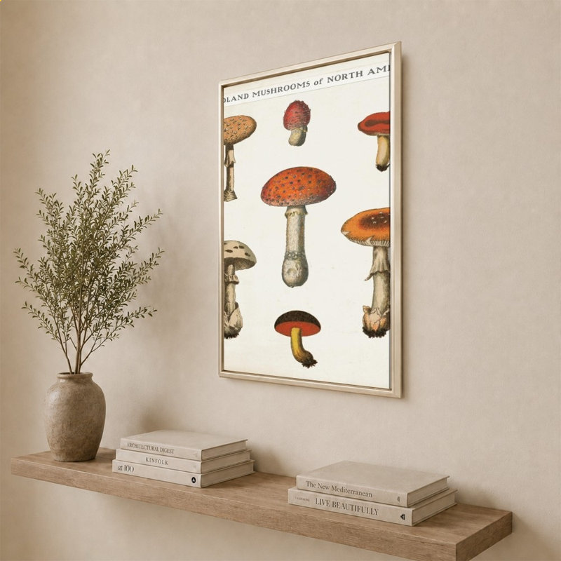 «Mushroom Chart III Light» par Wild Apple Portfolio - impression sur toile, 40" H x 28" W, Champagne