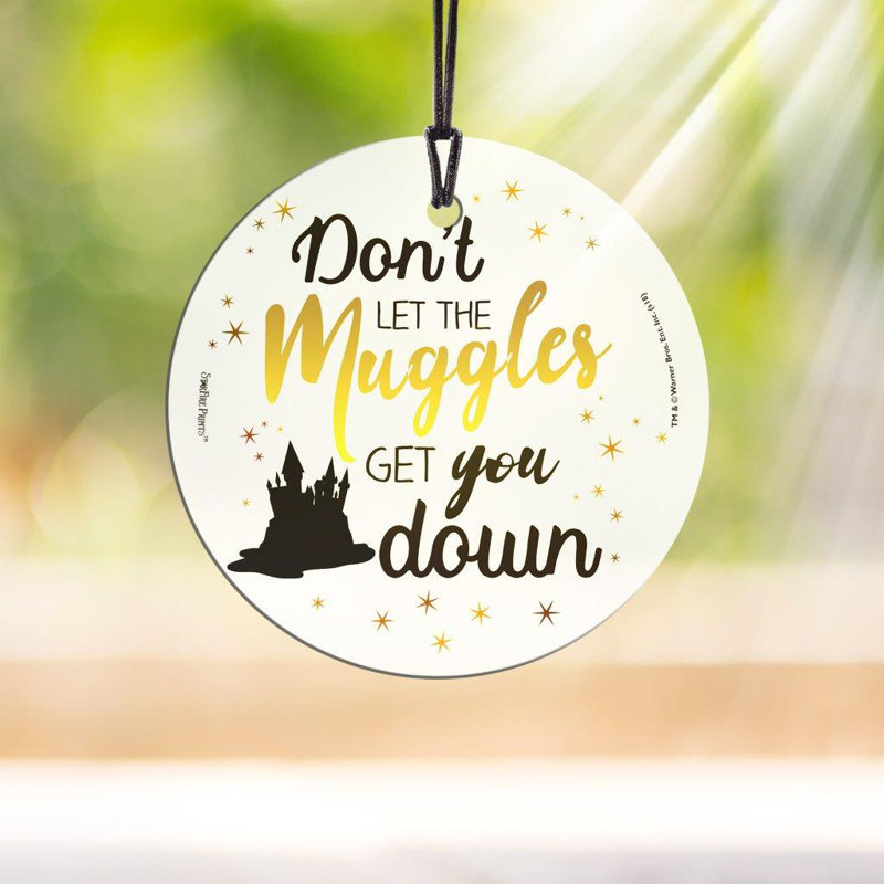 "Harry Potter Don't Let The The Muggles Get You Down", reproduction imprimée sur verre