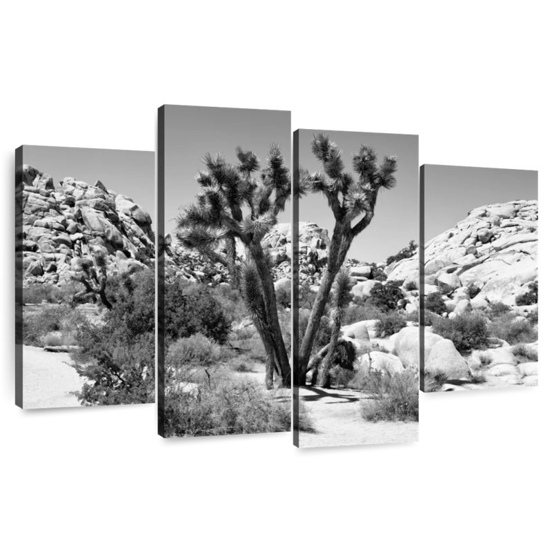 Harnek - Arizona noir - Joshua Tree II, H 27 po x l 43 po