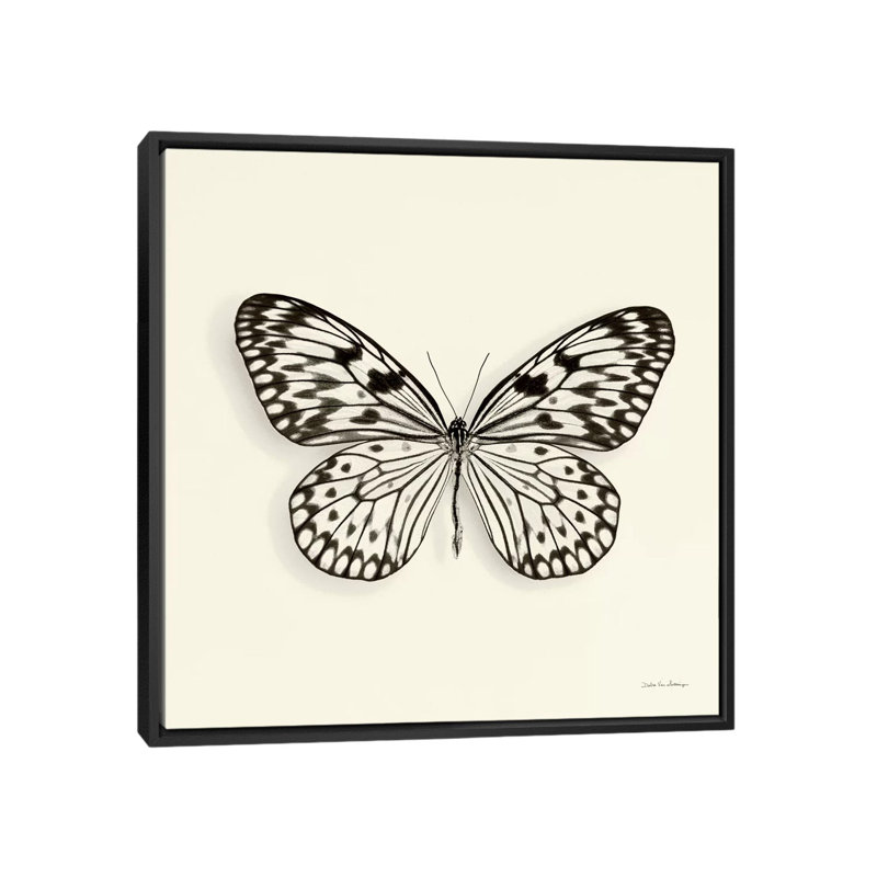 «Butterfly V in B&W», impression sur toile, H 18 po x l 18 po x P 1,5 po, Toile avec cadre noir, Pas de tapis
