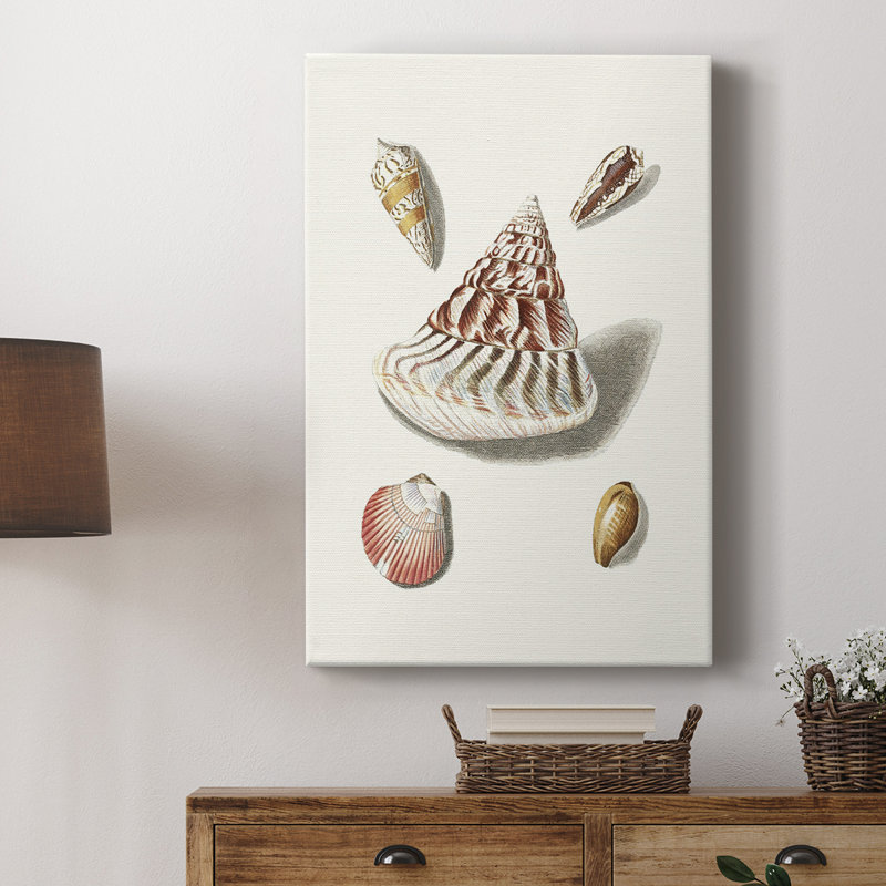 Pastel Knorr Shells VII - Cavas enveloppés de galerie, H 36 po x l 24 po