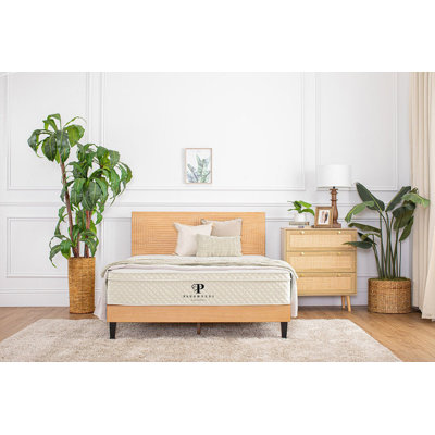 PlushBeds Savvy Bliss Hybrid Mattress