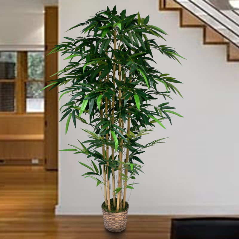Tall High End Realistic Silk Bamboo Tree in Basket, 1