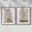 Impression encadrée moderne et botanique I-Premium - prête à être accrochée - aucun clou requis - aucun clou requis-1981661520-1981661521