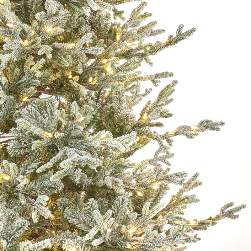 6.56' H Lighted Artificial Spruce Christmas Tree
