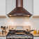 30-in 343-CFM Convertible Vine Embossed Copper Wall-Mounted Range Hood with Carbon Filters