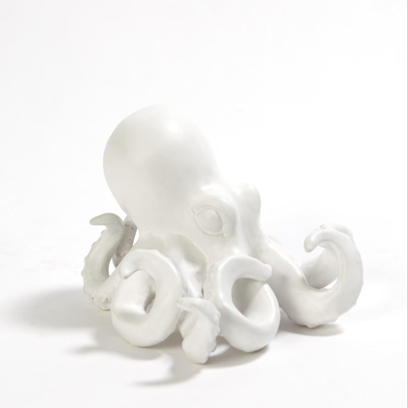 Octopus, White