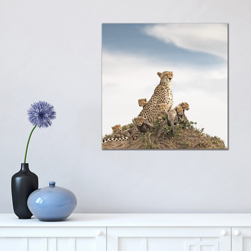 Colour Cheetah & Cubs by Klaus Tiedge - Print on Canvas, Wrapped Canvas, 45.72 cm H x 45.72 cm W x 3.175 cm D