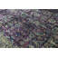 Maharaja Wool Oriental Area Rug in Purple/Brown