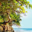 Caribbean Island - Wrapped Canvas Print-1121026354-1122610688