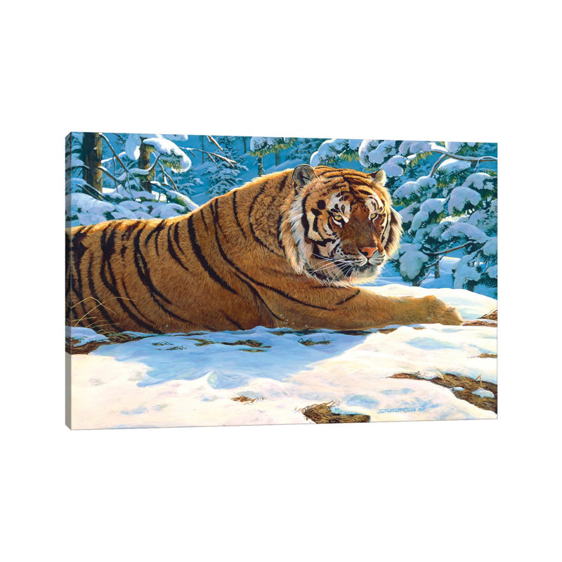 Tiger Snow by Jan Martin Mcguire - Wrapped Canvas Print, 20.32 cm H x 30.48 cm W
