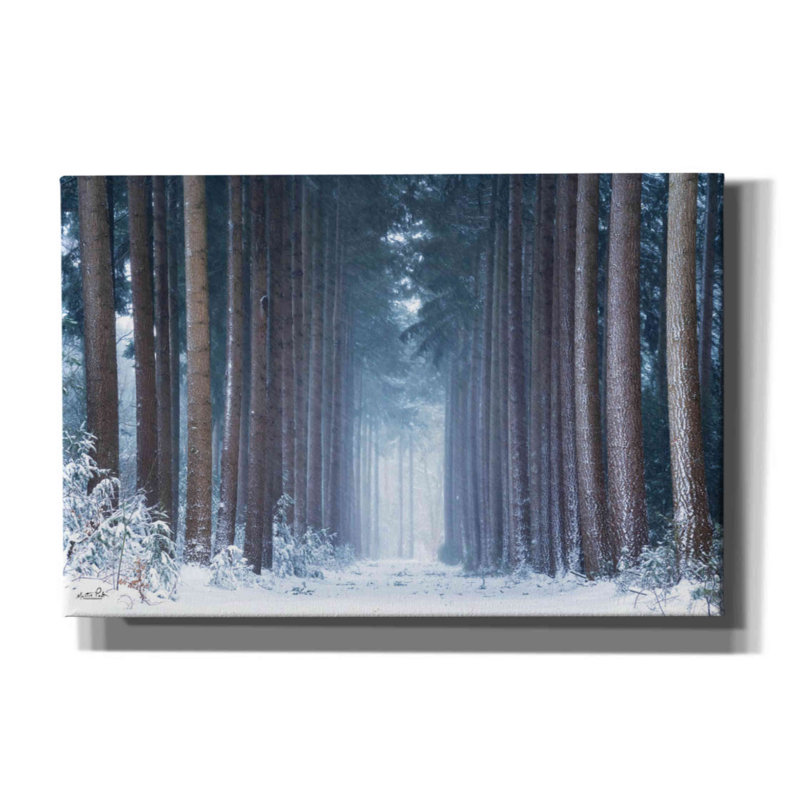 «Emzley Winter polaire sur toile» par Martin Podt, reproduction, H 12 po x l 18 po x P 0,75 po