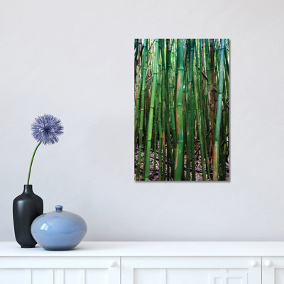 Bamboo Trees, Maui, Hawaii, USA III 1 Piece Wrapped Canvas Wall Art