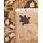 Vishant One-of-a-Kind 5' 10" X 9' 4" Hand Knotted Area Rug