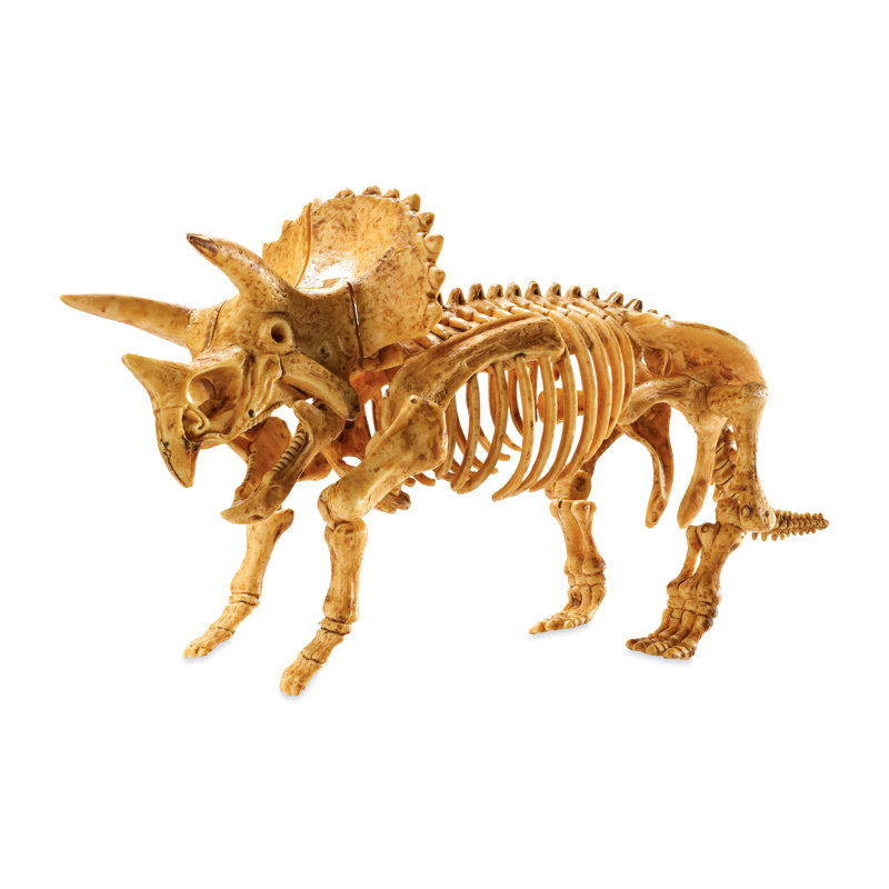 Creusez-le! - Modèle Dino: Triceratops S.T.E.M. Jeu
