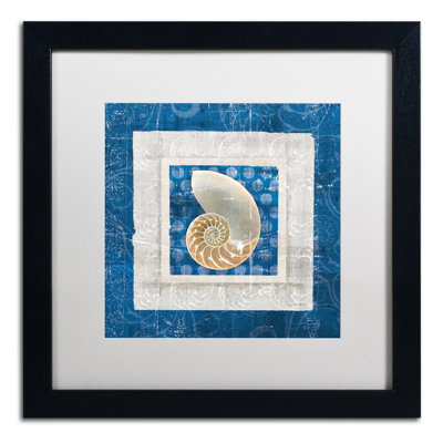 Maeda 'Sea Shell II on Blue' by Belinda Aldrich Framed Graphic Art