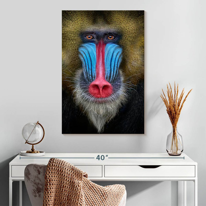 Singe Brampt, H 30 po x l 20 po