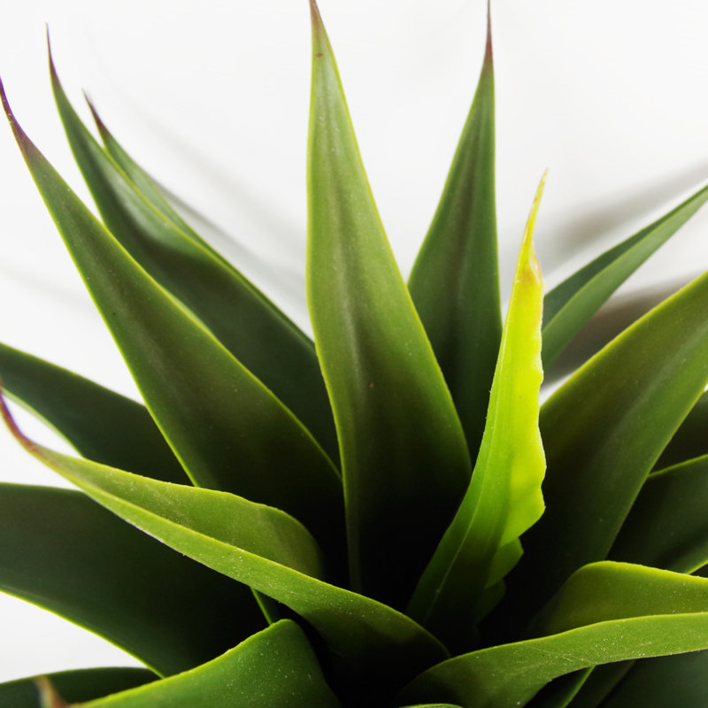 Anivea 55cm Faux Yucca Tree in Pot