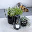 Glass Tabletop Lantern-1341037385-1341037389
