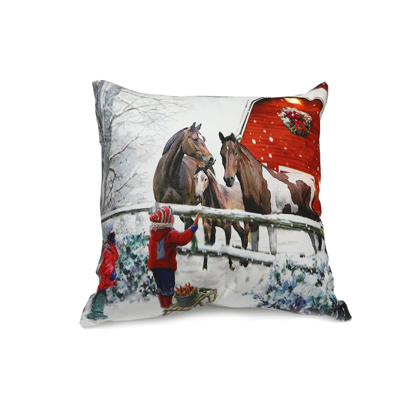 Coussin décoratif en velours 