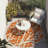 Kyrie Washable Abstract Indoor / Outdoor Rug-59299656