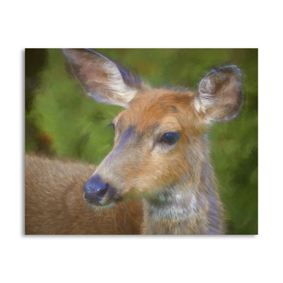 " Blacktail Deer II " Print