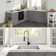 Pax™ 24" L x 19" W Undermount Kitchen Sink with Faucet