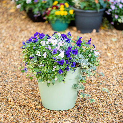 Cemone Pot Planter