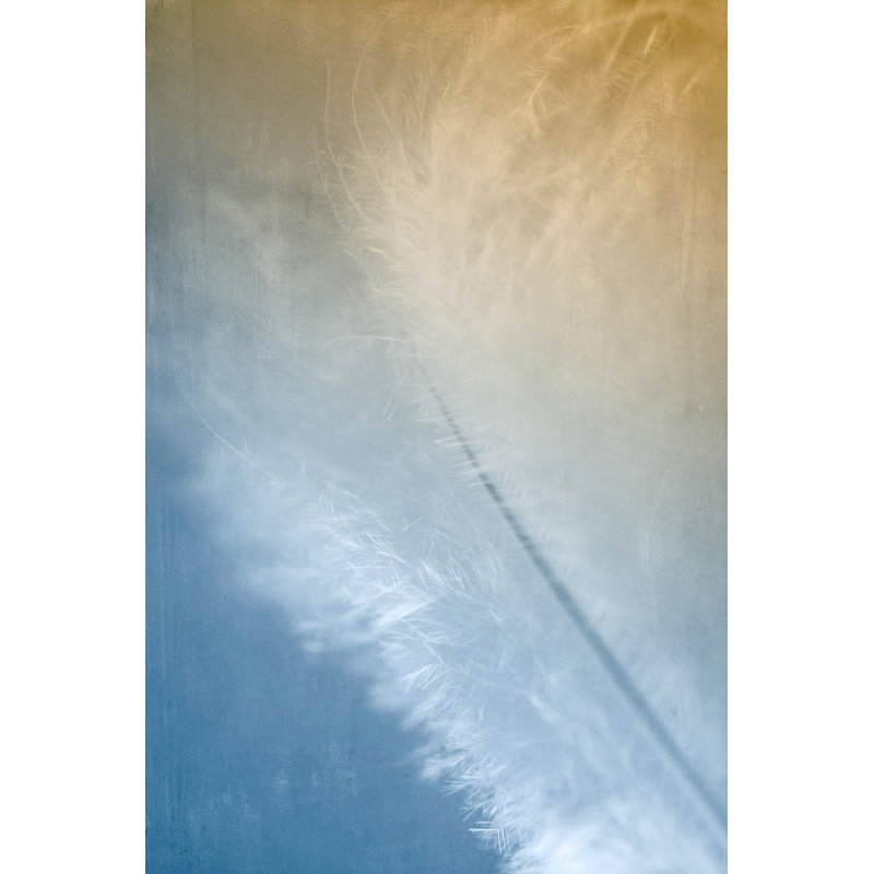 «White and Gold», reproduction sur toile tendue, H 18 po x l 12 po x P 1,5 po