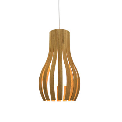 1 - Light Single Pendant