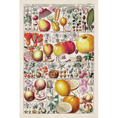 Tableau des fruits