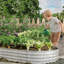 Jardinière surélevée galvanisée-982493612