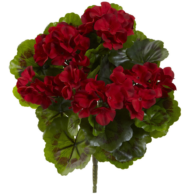 Geranium Bush Silk Plant, Red