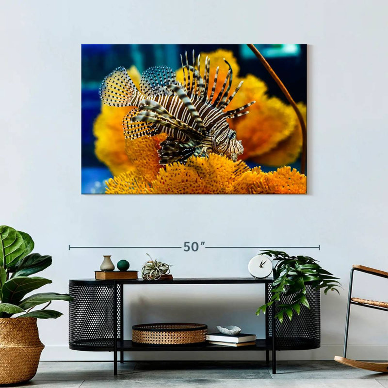 Brampt Saltwater Fish, 30" H x 45" W