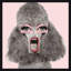 Pink Poodle Mouth Print by Jeffrey Goodman-66225537