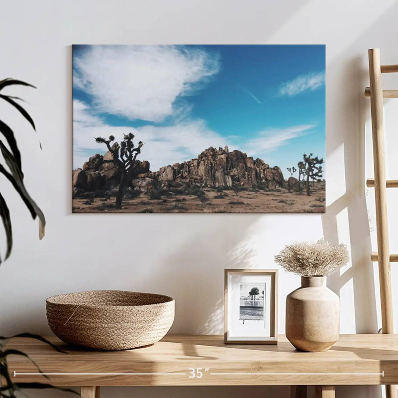 Nicci Joshua Tree Mastodon Peak, H 16 po x l 24 po