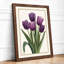 Violet Tulip Study Botanical - Framed Print-373622673-373622672