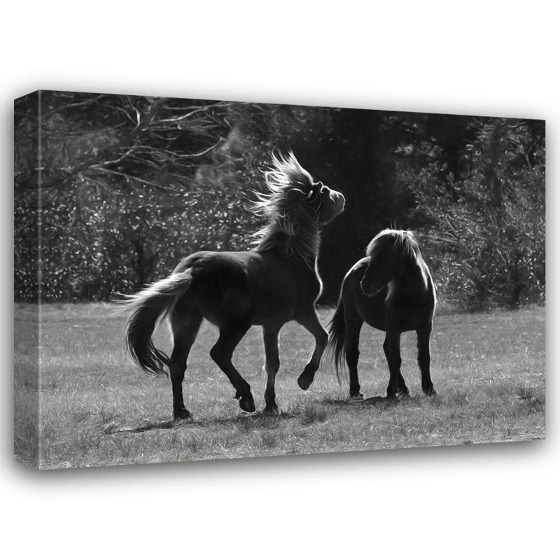 «Red Barrel Studio® Deiter, Lori», art sur toile tendue sous le titre «Black and White Assateague Horses», H 28 po x l 36 po
