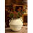Rustic Ceramic Vase With 2 Handles-122451734