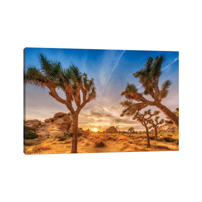 Gorgeous Sunset At Joshua Tree National Park by Melanie Viola - Wrapped Canvas Print