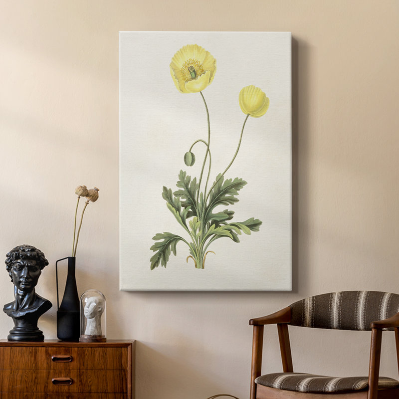 Fleurs des Saisons - galerie Cavas, H 18 po x l 12 po