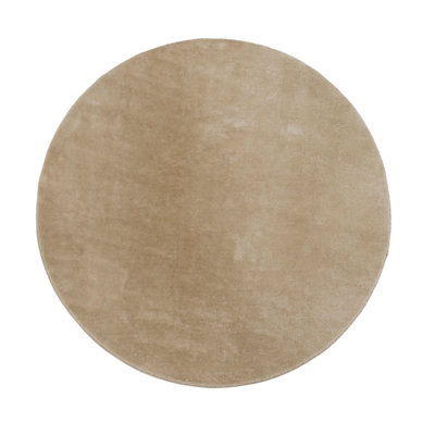 Haward Area Rug